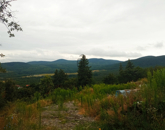 Eladó telek/földterület Szentendre 49 900 000 Ft