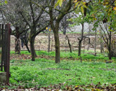 Eladó családi ház Vashosszúfalu 43 000 000 Ft