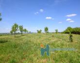 Eladó telek/földterület Telki 490 000 000 Ft