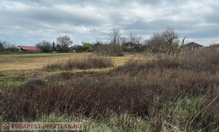 Eladó építési telek- Tata, Levendulakert!                                 