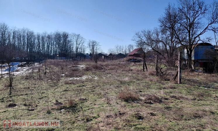 ELADÓ ÉPÍTÉSI TELEK TÁPIÓSZŐLŐSÖN