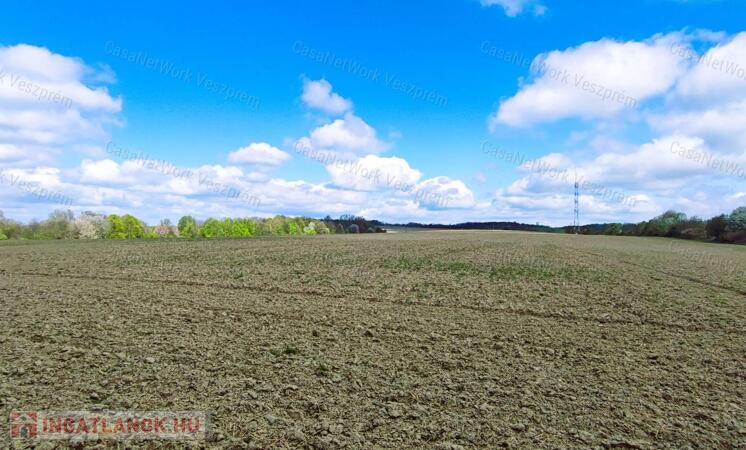 Eladó kiváló elhelyezkedésű szántó