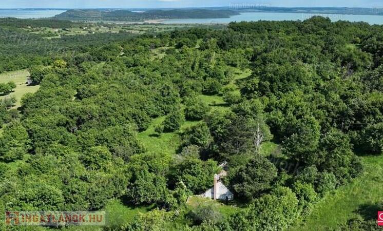 Balaton-felvidéken 6,3 ha birtok, 2 db romos épülettel