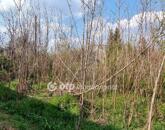 Eladó telek/földterület Solymár 44 900 000 Ft