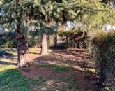 Kiadó családi ház Nyúl 170 000 Ft