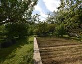 Eladó telek/földterület Sárhida 4 000 000 Ft