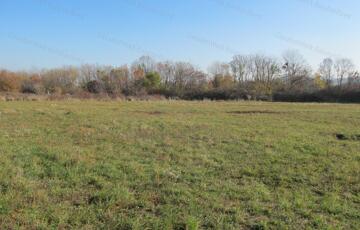 Eladó telek/földterület