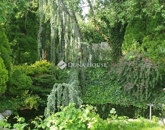 Eladó családi ház Budapest II. ker 320 000 000 Ft