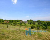 Eladó telek/földterület Telki 490 000 000 Ft