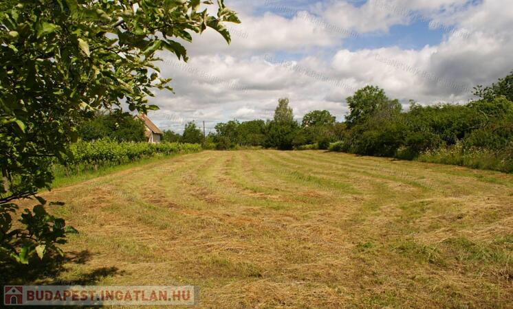 Balatonfőkajári zártkert - gazdálkodásra alkalmas - 1718 m2 területtel eladó.                                 