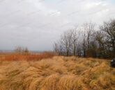 Eladó telek/földterület Zalaszabar 8 000 000 Ft