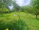 Eladó családi ház Zalaegerszeg 110 000 000 Ft