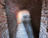 Eladó családi ház Töttös 55 900 000 Ft