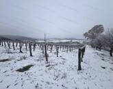 PANORÁMÁS SZŐLŐ A NIVEGY-VÖLGY SZÍVÉBEN SZENTJAKABFÁN