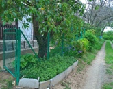 Eladó telek/földterület Hosszúhetény 3 200 000 Ft