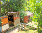 Eladó üdülő/nyaraló Zalabér 11 000 000 Ft