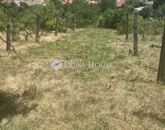 Eladó telek/földterület Kővágószőlős 15 000 000 Ft