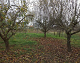 Eladó családi ház Vashosszúfalu 43 000 000 Ft