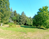 Eladó telek/földterület Zalaegerszeg 19 900 000 Ft