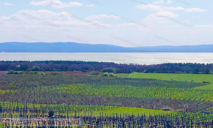 Csodálatos kilátást keresel a Balatonra? MEGTALÁLTAD !!                                 