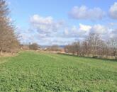 Eladó telek/földterület Tata 20 500 000 Ft