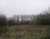 Eladó családi ház Kistapolca 16 500 000 Ft