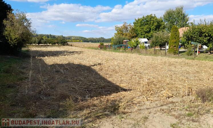 Szajolban építési telek eladó!                                 
