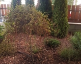 Eladó családi ház Szentmártonkáta 18 900 000 Ft