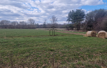 Eladó telek/földterület