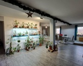 Eladó családi ház Monor 79 800 000 Ft