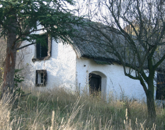 Balaton-felvidéken 6,3 ha birtok, 2 db romos épülettel