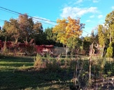 Eladó telek/földterület Pomáz 55 000 000 Ft