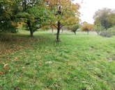 Eladó telek/földterület Zalaegerszeg 10 000 000 Ft