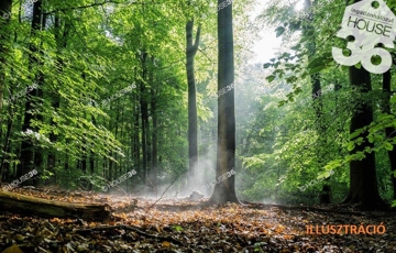 Eladó telek/földterület