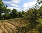 Eladó telek/földterület Sárhida 4 000 000 Ft