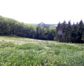 Eladó telek/földterület Zalaegerszeg 11 900 000 Ft