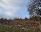 Eladó családi ház Pécs 12 900 000 Ft