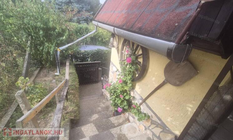 Környe- Homokdűlő eladó szőlőbirtok