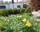 Eladó családi ház Bóly 58 000 000 Ft