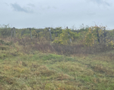 Eladó telek/földterület Zánka 24 951 000 Ft