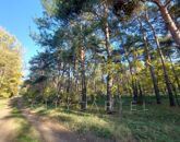 Eladó telek/földterület Papkeszi 1 900 000 Ft