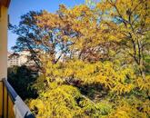 Eladó lakás Budapest XI. ker 95 000 000 Ft