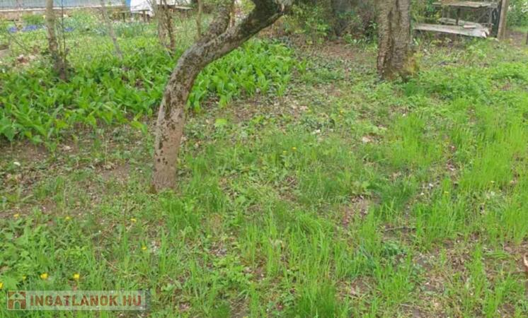 Zártkert Tatabányán