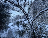 Eladó családi ház Budapest I. ker 359 000 000 Ft