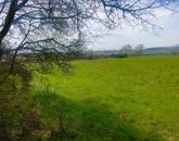 BALATONI RIVIÉRA LÁTVÁNYÁVAL