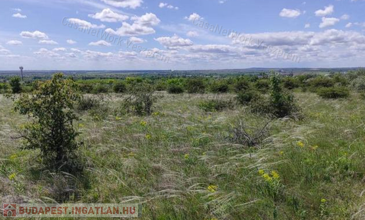 Eladó belterület Veszprémben megfizethető áron!                                 