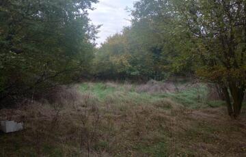 Eladó telek/földterület