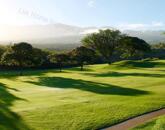 Oroszlány ipari park közelében ELADÓ 10125 nm terület