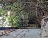 Eladó telek/földterület Solymár 78 000 000 Ft