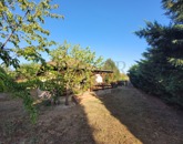 359447
